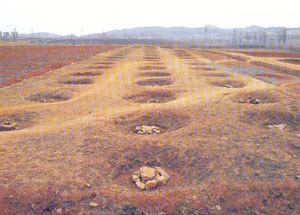Panoramic view of corridor site of southern palace of Anhak Palace Panoramic view of corridor site of southern palace of Anhak Palace