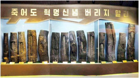 Slogans written on barked trees Slogans written on barked trees