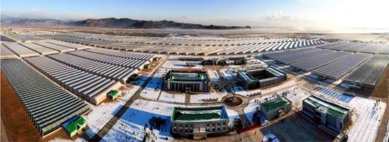  Jungphyong Vegetable Greenhouse Farm