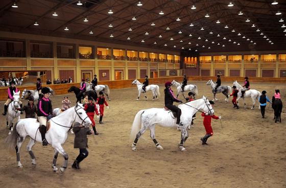 Mirim Riding Club