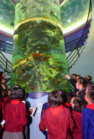 Large-Sized Cylindrical Water Tank in the Aquarium
