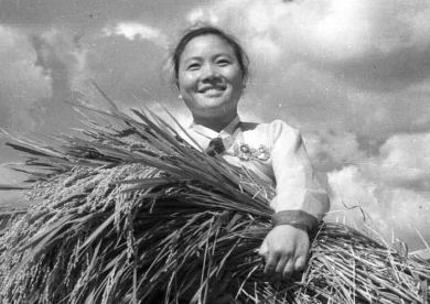 Kim Rak Hui, the pioneer of the plowwoman movement