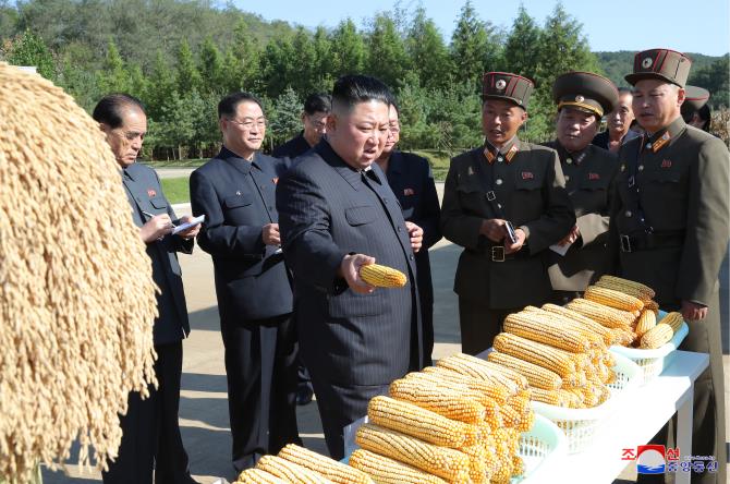 경애하는 최고령도자 김정은동지께서 조선인민군 제810군부대산하 1116호농장을 현지지도하시였다