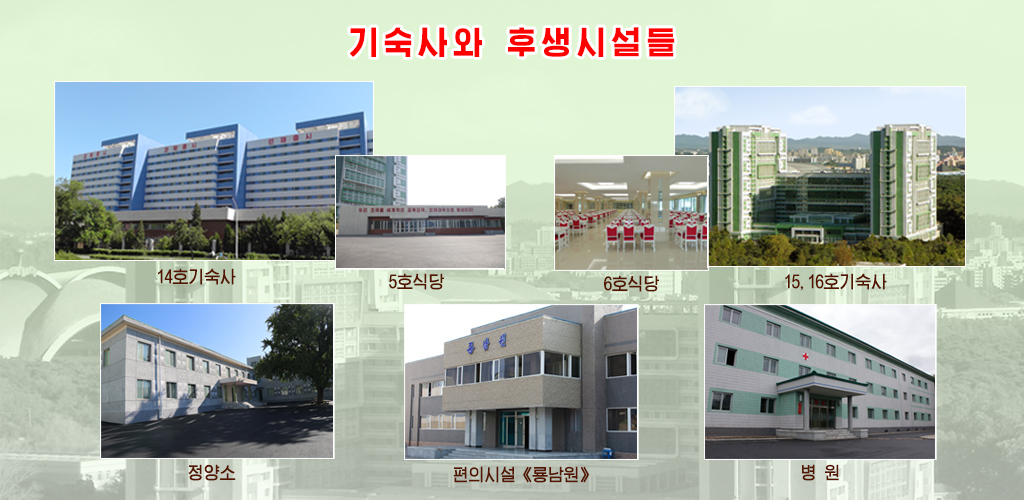 김일성종합대학의 75년 려정