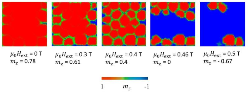 Magnetization reversal of the nanocomposite system