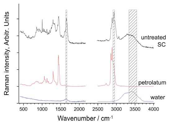Raman Spectra of human stratum corneum, petrolatum and water Raman Spectra of human stratum corneum, petrolatum and water