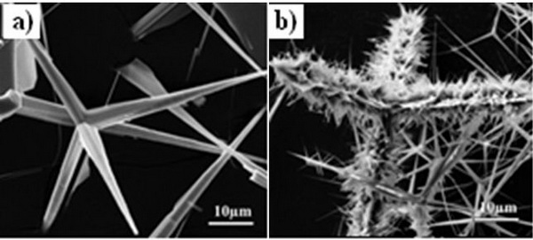SEM images of products(a-Sample 1, b-Sample 2)