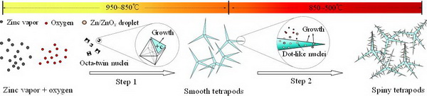 Growth mechanism of spiny tetrapod ZnO