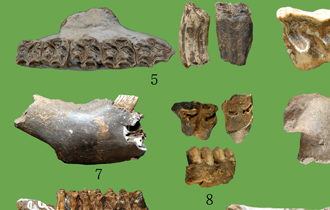 Открытие памятников первой половины палеолита в Восточной Азии