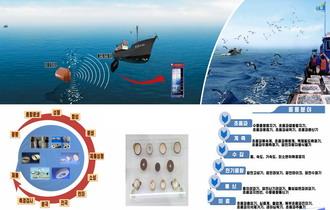Effect of WO3 Doping on the Piezoelectric Property and Temperature Stability of Lead Free Na0.5K0.44Li0.06nbo3 Ceramics