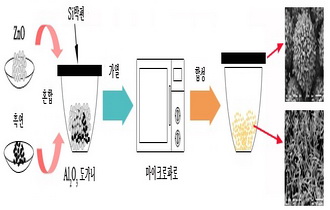 Large-Scale Synthesis of ZnO Nanorods by Microwave Heating Method: Growth Mechanism and Possibility of Controllable Growth of Nanoneedle