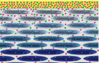 tMCR-ALS Method for the Determination of Water Concentration Profiles in the Stratum Corneum of Skin in Vivo