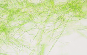 카드미움제거률의 개선